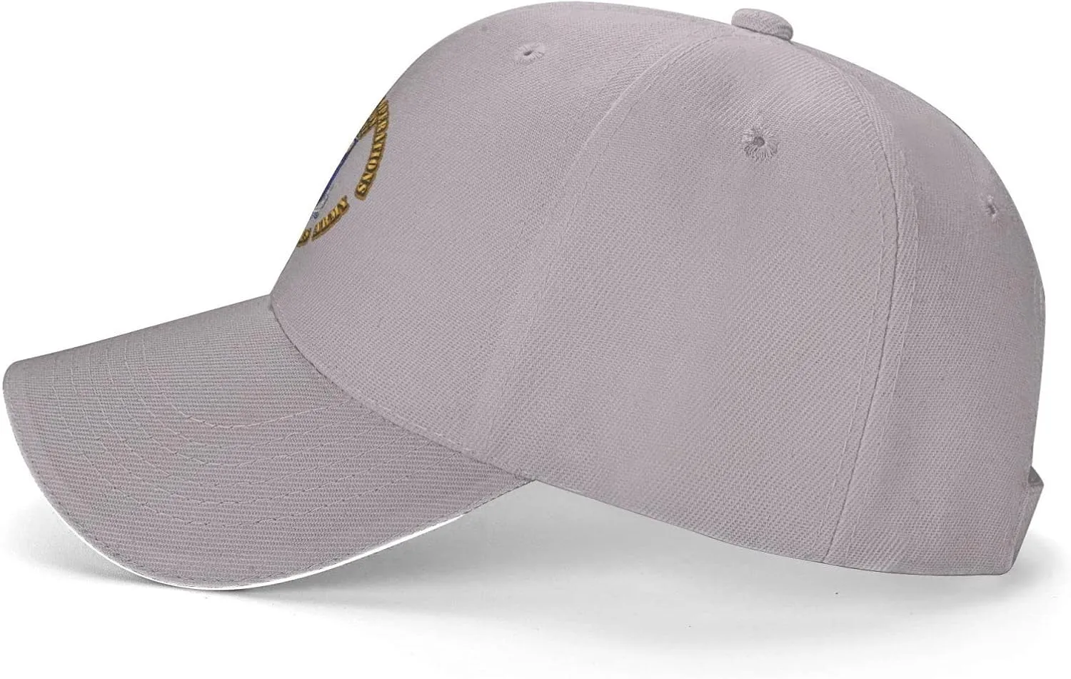 160th Special Operations Aviation Regiment Men and Women Adjustable Baseball Cap