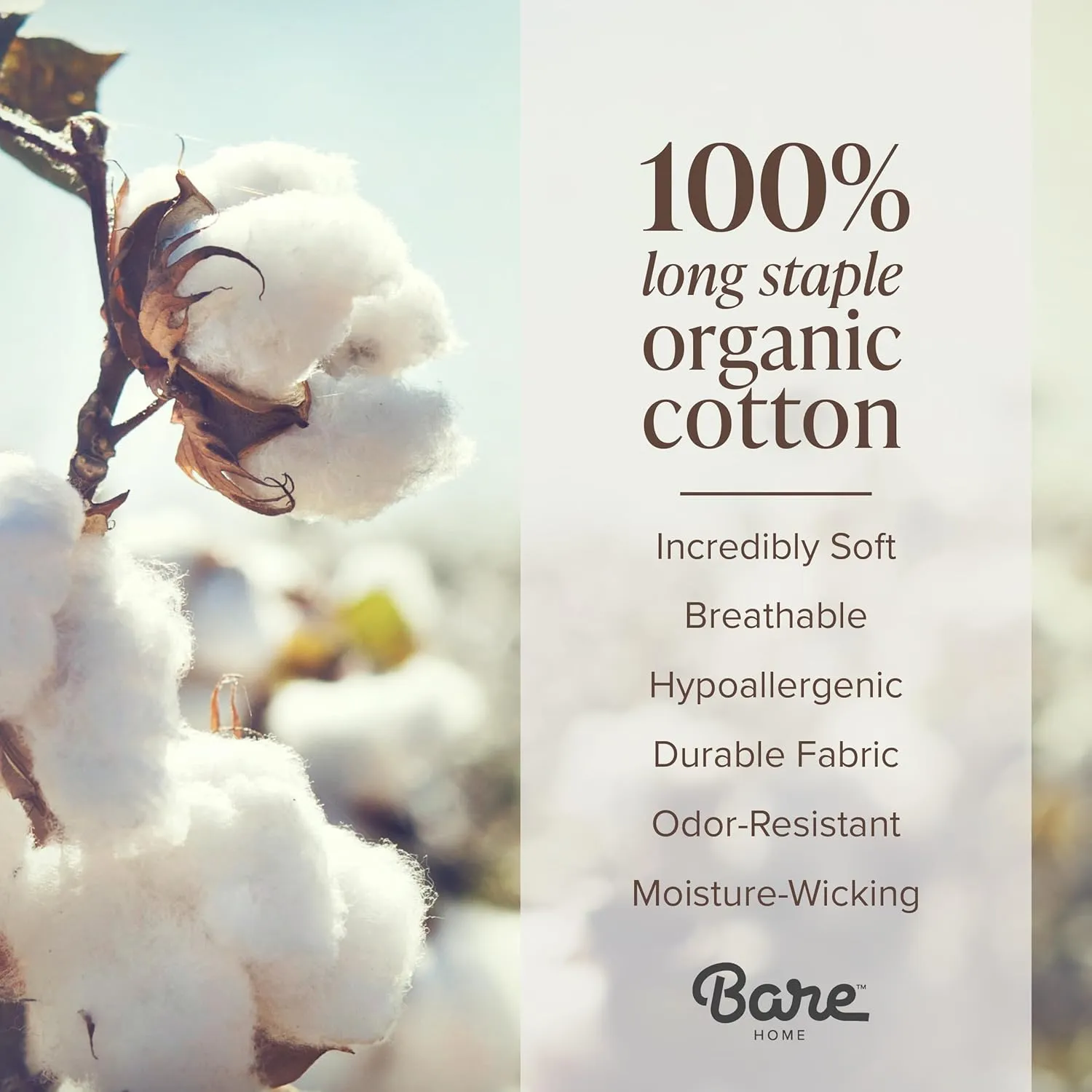Bare Home 100% Organic Cotton Queen Sheet Set - Crisp Percale Weave - 260 Thread Count - Lightweight & Breathable - Bedding Sheets & Pillowcases (Queen, Sand)