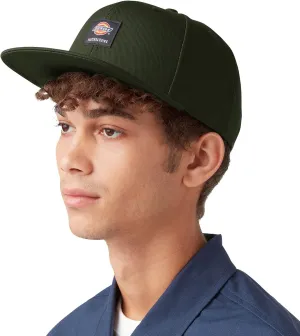 Dickies mens Skateboarding Flat Bill Cap