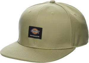 Dickies mens Skateboarding Flat Bill Cap