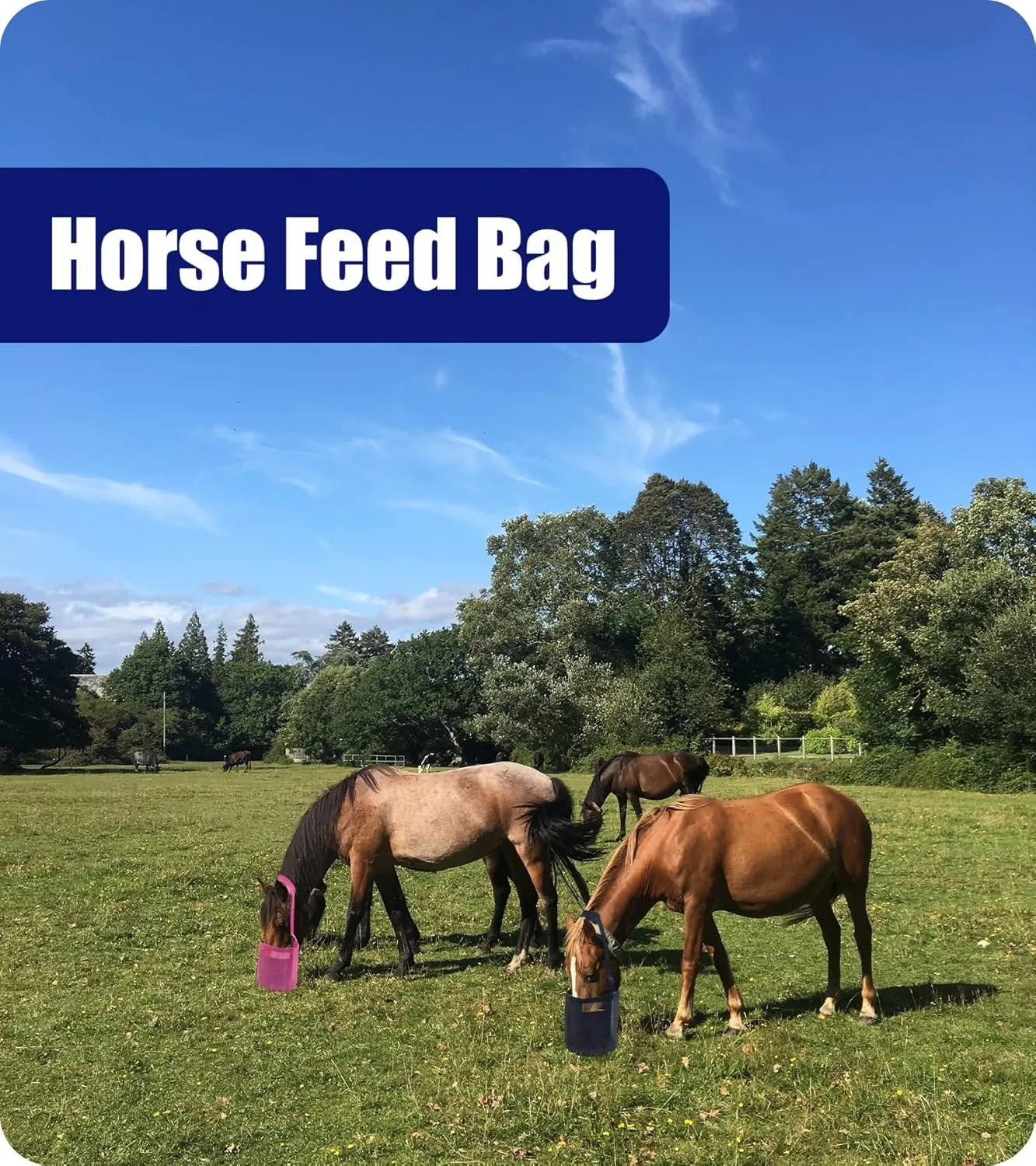 Horse Feed Bag Grain - Heavy Duty Mesh Feed Bucket with Adjustable Strap,Comfort Neck Pad,Nose Pad and Waterproof Bottom Horse Muzzle Feed Bag(Medium,Blue Pink)
