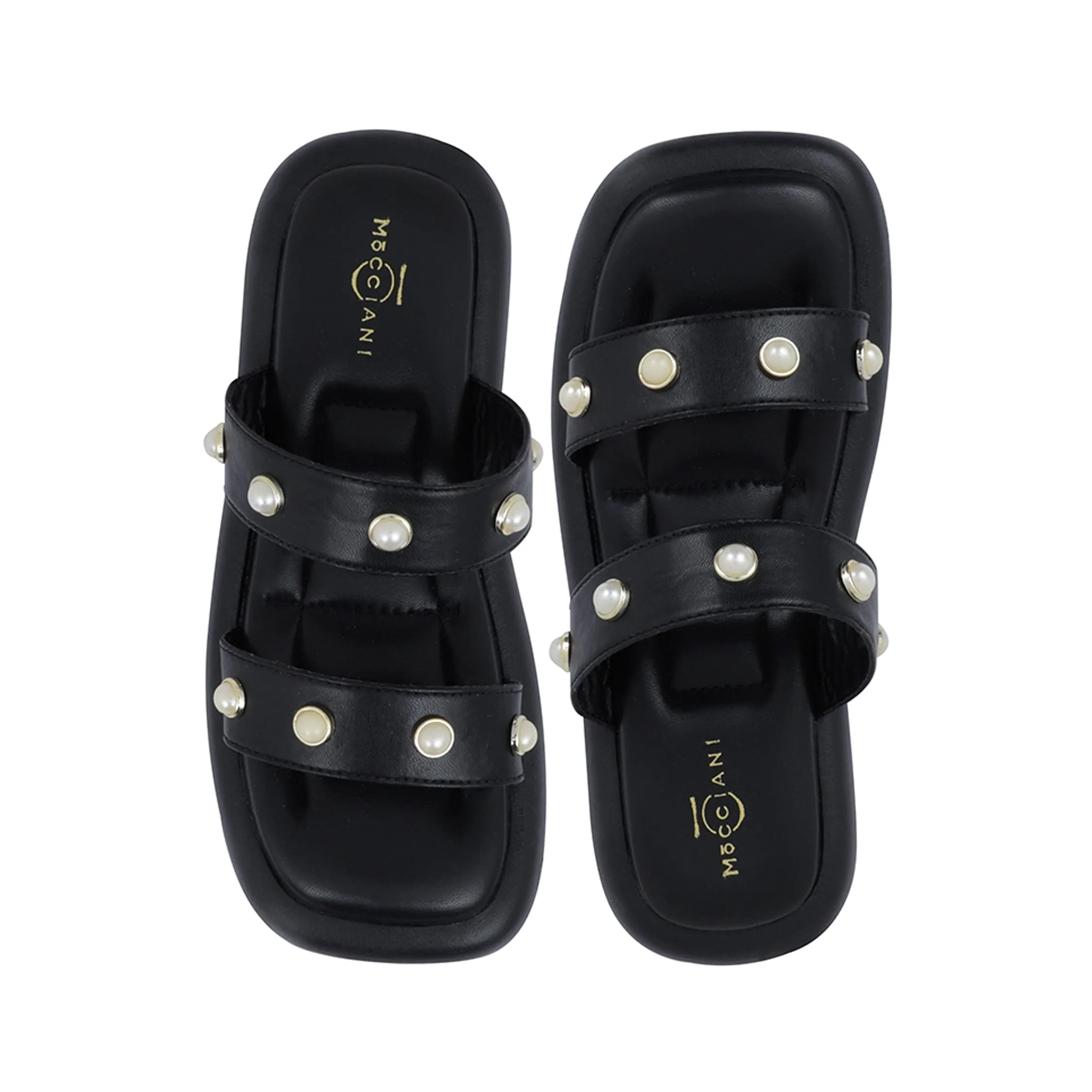 MW1858-COCCO