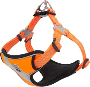 TRUE LOVE Dog Harness TLH5991 Anti Pull Safety Vest Step-in Style Harness for More Comfort and Less Tug Reflective Pet Harness by Truelove